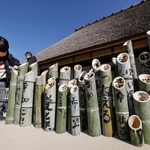 　阪神大震災の追悼行事に向け、文字が書き入れられた竹灯籠＝１０日午前、神戸市北区の「あいな里山公園」