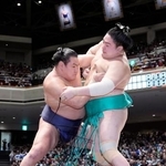 　豊昇龍（左）が寄り切りで一山本を下す＝両国国技館