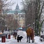 　８日、ウクライナ首都キーウの雪が積もった通り（ＡＰ＝共同）