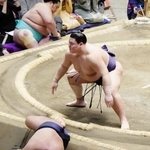 　義ノ富士が寄り切りで豊昇龍を破る＝両国国技館