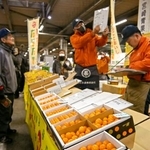 　宮崎市中央卸売市場で行われた完熟キンカン「たまたま」の初競り＝１５日午前、宮崎市