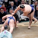 　大の里（右）がはたき込みで若隆景を下す＝両国国技館