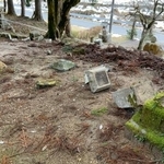 　「布部断層」東部に位置する神社の倒壊した灯籠＝７日、島根県安来市（広島大の熊原康博教授提供）