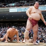 　大栄翔にはたき込みで敗れた豊昇龍（左）＝両国国技館