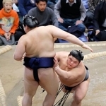 　大の里を押し出す伯乃富士（右）＝両国国技館