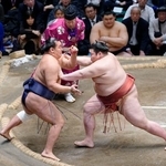 　熱海富士に押し出される豊昇龍（左）＝両国国技館