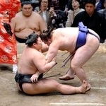 　安青錦（右）が下手投げで伯乃富士を下す＝両国国技館