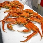 　釜ゆでされた越前ガニ＝２１日午後、福井県坂井市