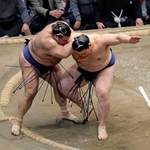 　大の里（右）が寄り切りで高安を下す＝両国国技館