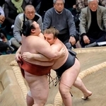 　安青錦（右）が寄り切りで熱海富士を下す＝両国国技館