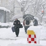 　降り積もる雪の中を歩く人たち＝２３日午前、金沢市