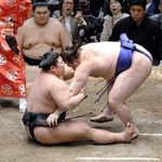 　安青錦（右）に下手投げで敗れた伯乃富士＝２１日、両国国技館