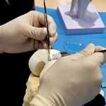 　培養軟骨を膝の関節に移植する手術を再現した様子＝２２日、東京都中央区