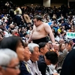 　３敗目を喫し引き揚げる安青錦＝両国国技館