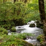 　十和田八幡平国立公園の奥入瀬渓流（環境省提供）