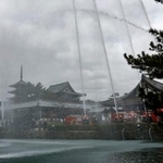 　「文化財防火デー」に合わせ、世界遺産・法隆寺で行われた放水訓練＝２６日午前、奈良県斑鳩町