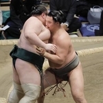 　２４日、白鷹山（左）を破った寿之富士＝両国国技館