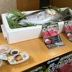 　京都府がブランド化する「都まぐろ」＝京都市上京区