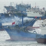 　漁港を出る中国漁船＝２０２４年８月、中国福建省石獅市（共同）