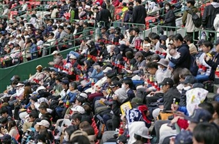 　ＷＢＣ日本代表の練習を見つめるスタンドの観客＝１４日、宮崎市