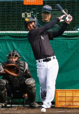 　打撃練習するソフトバンク・今宮＝宮崎