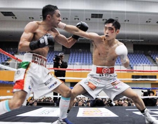 　ＩＢＦスーパーバンタム級世界王座挑戦者決定戦でブライアン・メルカド・バスケス（左）を破った西田凌佑＝ＨＯＳ住吉ＳＣ