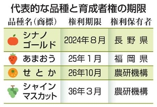 　代表的な品種と育成者権の期限
