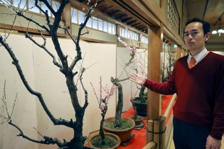 　高知市の老舗料亭「得月楼」の「盆梅」と松岡憲史社長＝２５日