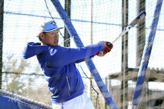 　打撃練習するブルージェイズ・岡本＝２４日、ダンイーデン