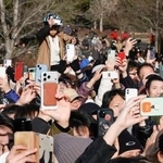 　衆院選の街頭演説会場で候補者らにスマートフォンを向ける人たち。ラストサンデーとなり、多くの人が訴えに耳を傾けた＝１日午後、愛知県内