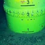 　海底下の泥に入った採掘装置＝１月３０日、東京・南鳥島沖（ＳＩＰ／海洋研究開発機構提供）