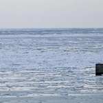 　北海道紋別市で接岸が確認された流氷＝２日午後３時５０分ごろ（紋別市提供）