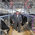 　北朝鮮北西部の平安北道雲田で操業を始めた畜産施設を視察する金正恩朝鮮労働党総書記＝２日（朝鮮中央通信＝共同）