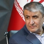 　イランのエスラミ副大統領兼原子力庁長官