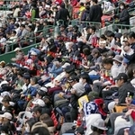 　ＷＢＣ日本代表の練習を見つめるスタンドの観客＝１４日、宮崎市