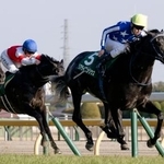 　第６０回共同通信杯を制したリアライズシリウス（右）＝東京競馬場