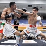 　ＩＢＦスーパーバンタム級世界王座挑戦者決定戦でブライアン・メルカド・バスケス（左）を破った西田凌佑＝ＨＯＳ住吉ＳＣ