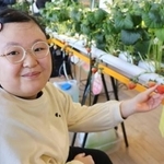 　イチゴを収穫する桐原乃愛さん＝１８日午後、福岡市