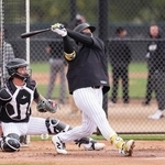 　実戦形式の練習をするホワイトソックス・村上＝グレンデール（共同）