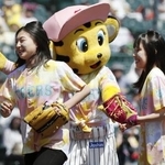　プロ野球阪神の試合前セレモニーに登場した坂本花織（左）と三原舞依＝２０１９年５月、甲子園球場