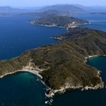 　中国電力が使用済み核燃料中間貯蔵施設の建設を計画している山口県上関町の長島＝１８日