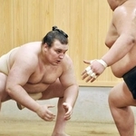 ぶつかり稽古で汗を流す安青錦（左）＝東京都江東区の安治川部屋