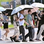 　昨年６月、強い日差しに日傘を差す人たち＝東京都内