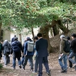 　聖武天皇・皇后陵の立ち入り調査に向かう研究者ら＝２７日午後、奈良市