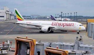 　成田空港に到着した、政府手配のチャーター機＝１０日午前６時３４分