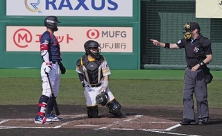 　ソフトバンク戦で打者のピッチクロック違反を取られた日本代表・佐藤＝２月、サンマリン宮崎
