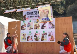 　高崎山自然動物園で行われたサルの人気ナンバーワンを決める「選抜総選挙」の結果発表＝２１日午後、大分市
