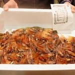 　漁が解禁され、滑川漁港に水揚げされたホタルイカ＝１日早朝、富山県滑川市