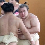 　時津風一門の連合稽古で汗を流す安青錦＝堺市の音羽山部屋宿舎