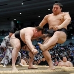 　安青錦（左）が寄り切りで若元春を破る＝エディオンアリーナ大阪